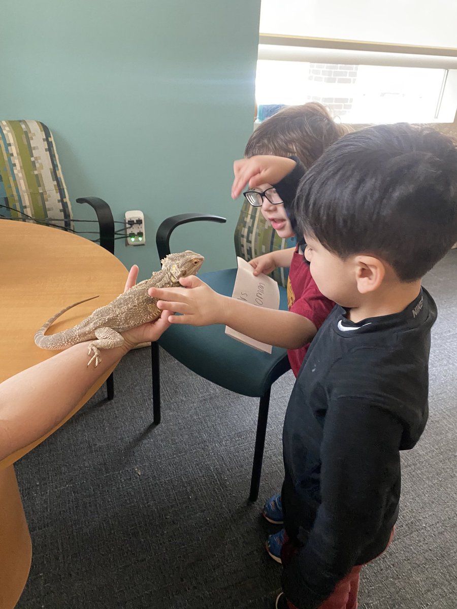 RiverbankElem's tweet photo. Riverbank is working hard to become a true Professional Learning Community! Even Freddie the bearded dragon supports student learning by serving as an incentive for positive behavior and academic achievement. @LexingtonTwo https://t.co/q8KofF06LR