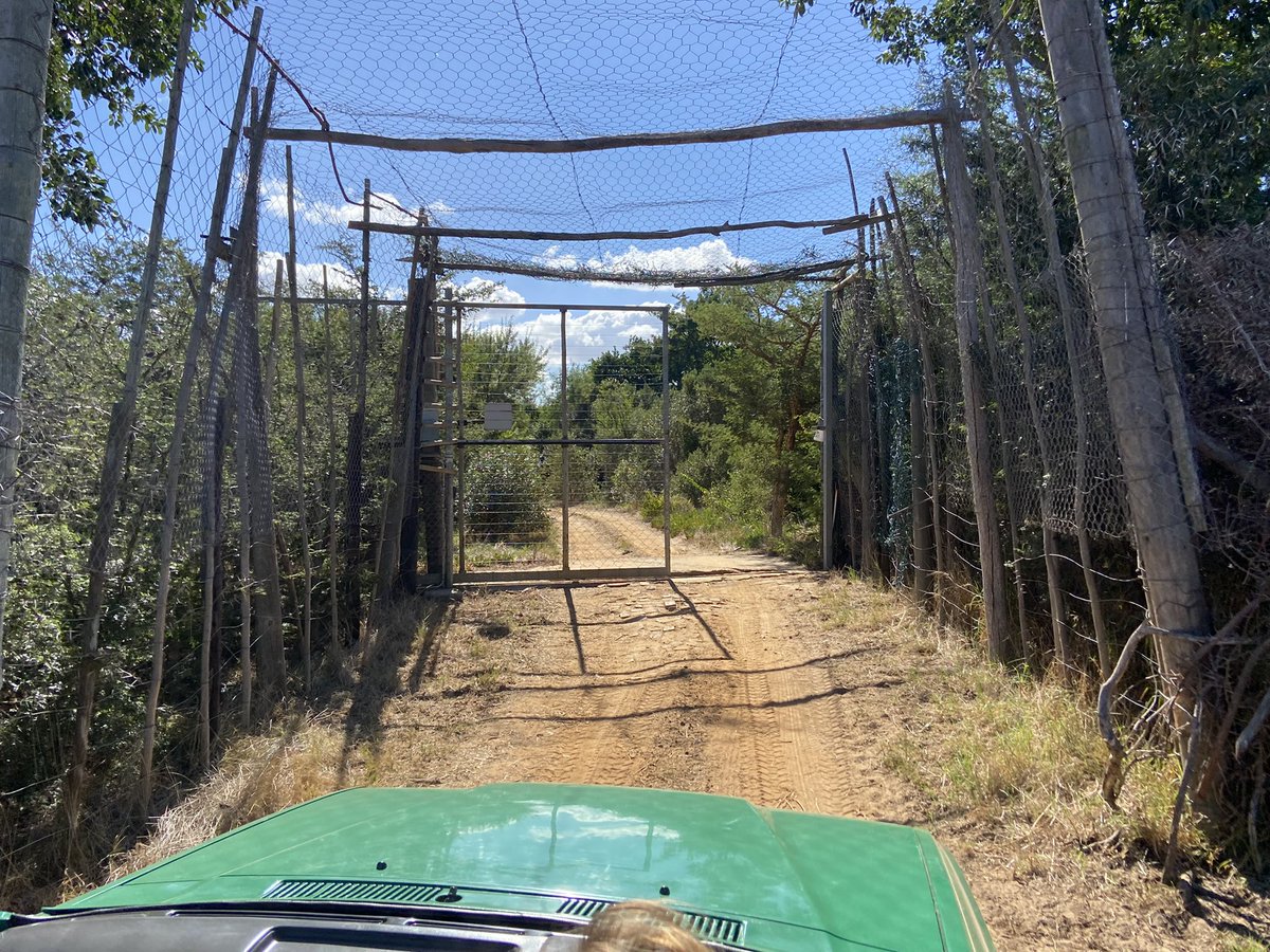 Richard Siddle tweet media