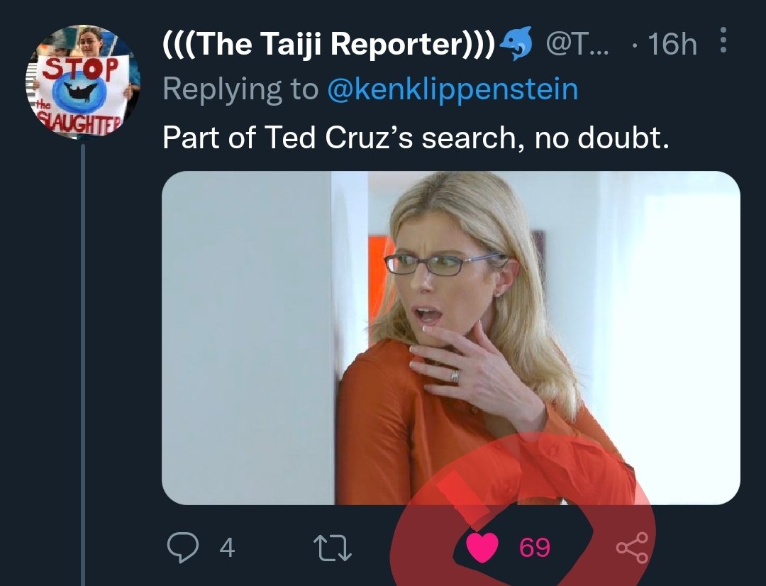 BrandAtkins's tweet photo. @TheTaijiNews @kenklippenstein This seemed...appropriate https://t.co/e90VSTf7Bi