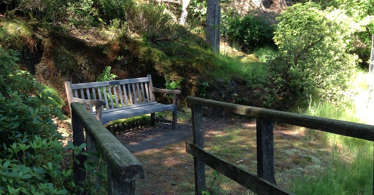 TheBotanics's tweet photo. We missed #NationaDayofReflection yesterday and with flowers coming into bloom we'd like to encourage you to discover our Silent Spaces. Turn off your phone and enjoy the sounds of early spring in peace. ๐ ๐คซ
๐ท: @BenmoreBotGdn, @Dawyck, @LoganBotanicGdn, @TheBotanics https://t.co/p75ZAJJX5A