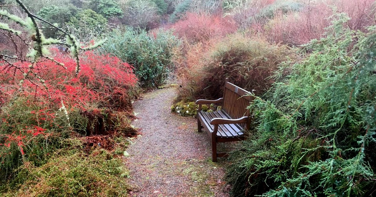 TheBotanics's tweet photo. We missed #NationaDayofReflection yesterday and with flowers coming into bloom we'd like to encourage you to discover our Silent Spaces. Turn off your phone and enjoy the sounds of early spring in peace. ๐ ๐คซ
๐ท: @BenmoreBotGdn, @Dawyck, @LoganBotanicGdn, @TheBotanics https://t.co/p75ZAJJX5A