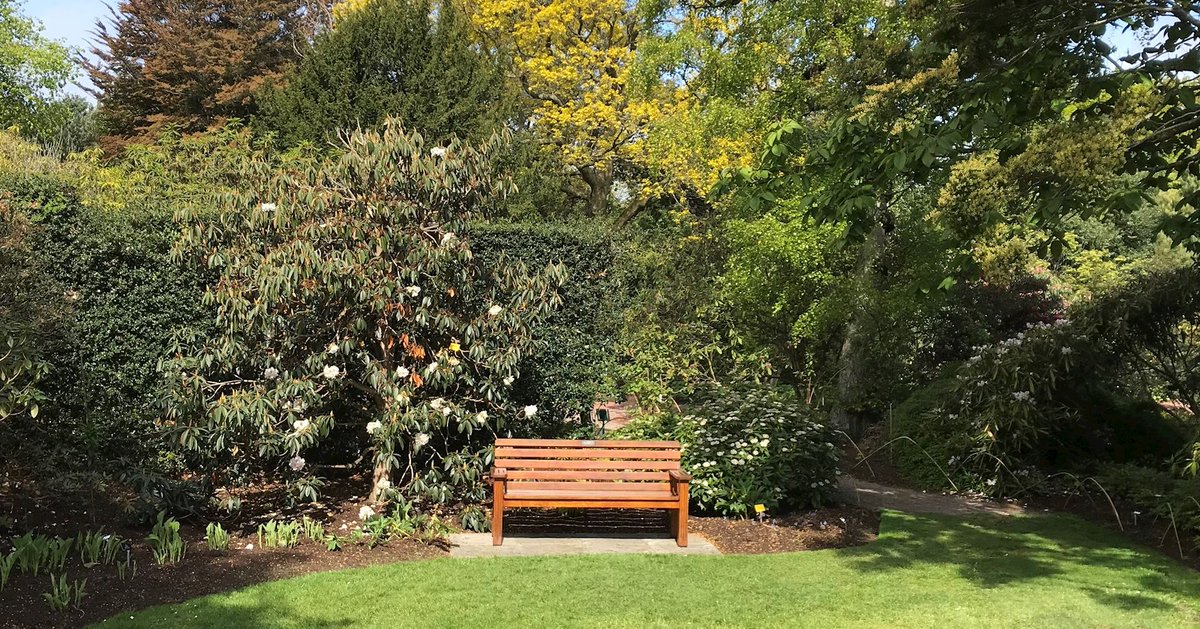 TheBotanics's tweet photo. We missed #NationaDayofReflection yesterday and with flowers coming into bloom we'd like to encourage you to discover our Silent Spaces. Turn off your phone and enjoy the sounds of early spring in peace. ๐ ๐คซ
๐ท: @BenmoreBotGdn, @Dawyck, @LoganBotanicGdn, @TheBotanics https://t.co/p75ZAJJX5A