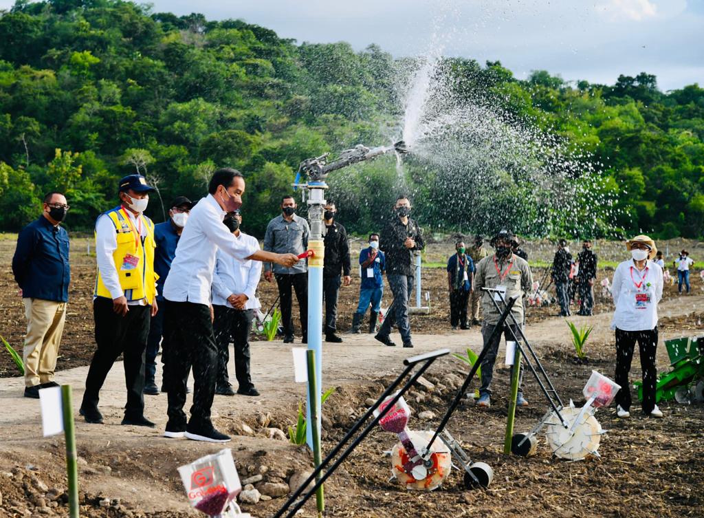 Apabila produksi yang dihasilkan di lahan 53 ha ini bagus, lahannya akan diperluas sampai 500 ha, bahkan dikembangkan di daerah lain.

Selain pengairan, saya juga mendorong pemanfaatan teknologi alat dan mesin pertanian (alsintan) yang cocok untuk lahan sulit seperti di NTT ini.