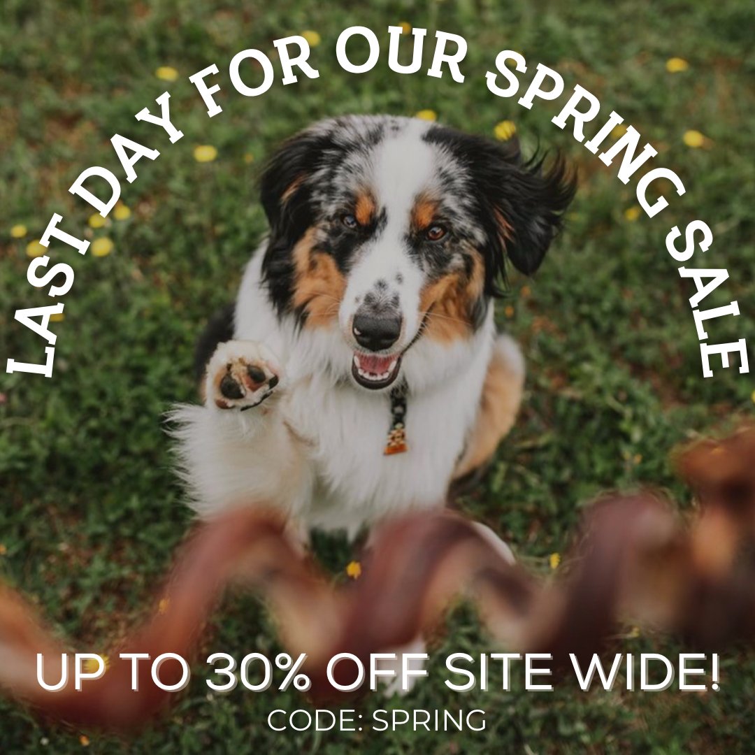 Last chance to get up to 30% off! Sale ends tonight. Use SPRING to take advantage of the savings!

🐶: <a href="/talesofarlo/">Nate👨🏼+ Arlo🐶</a>

#twitterdogs #dogsoftwitter #dogs #bullysticks