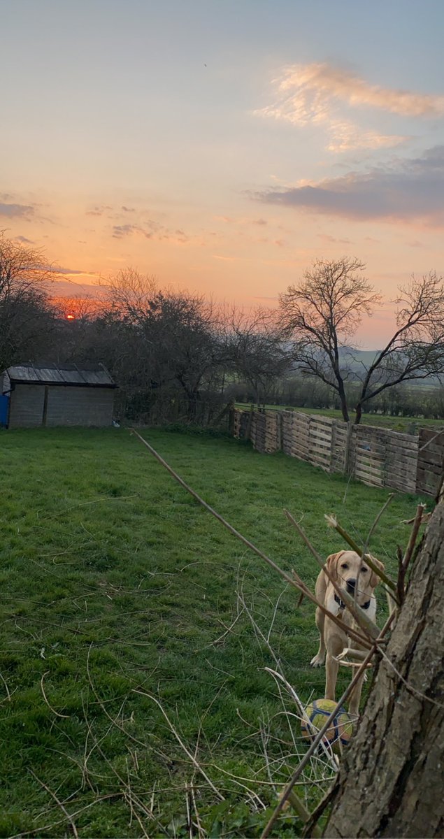 MissBeddow_PE's tweet photo. Spot the doggo 🐶 https://t.co/JzbDSRzBZT