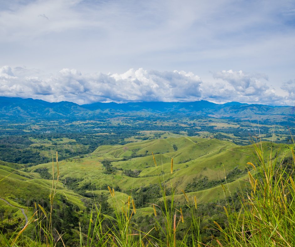 RedCedarCoffee's tweet photo. Papua New Guinea is the 2nd largest island in the world. It produces approximately 1% of the world's coffee on smallholder farms in remote areas. 

Have you tried this coffee before? https://t.co/ymEHe5u6FB
