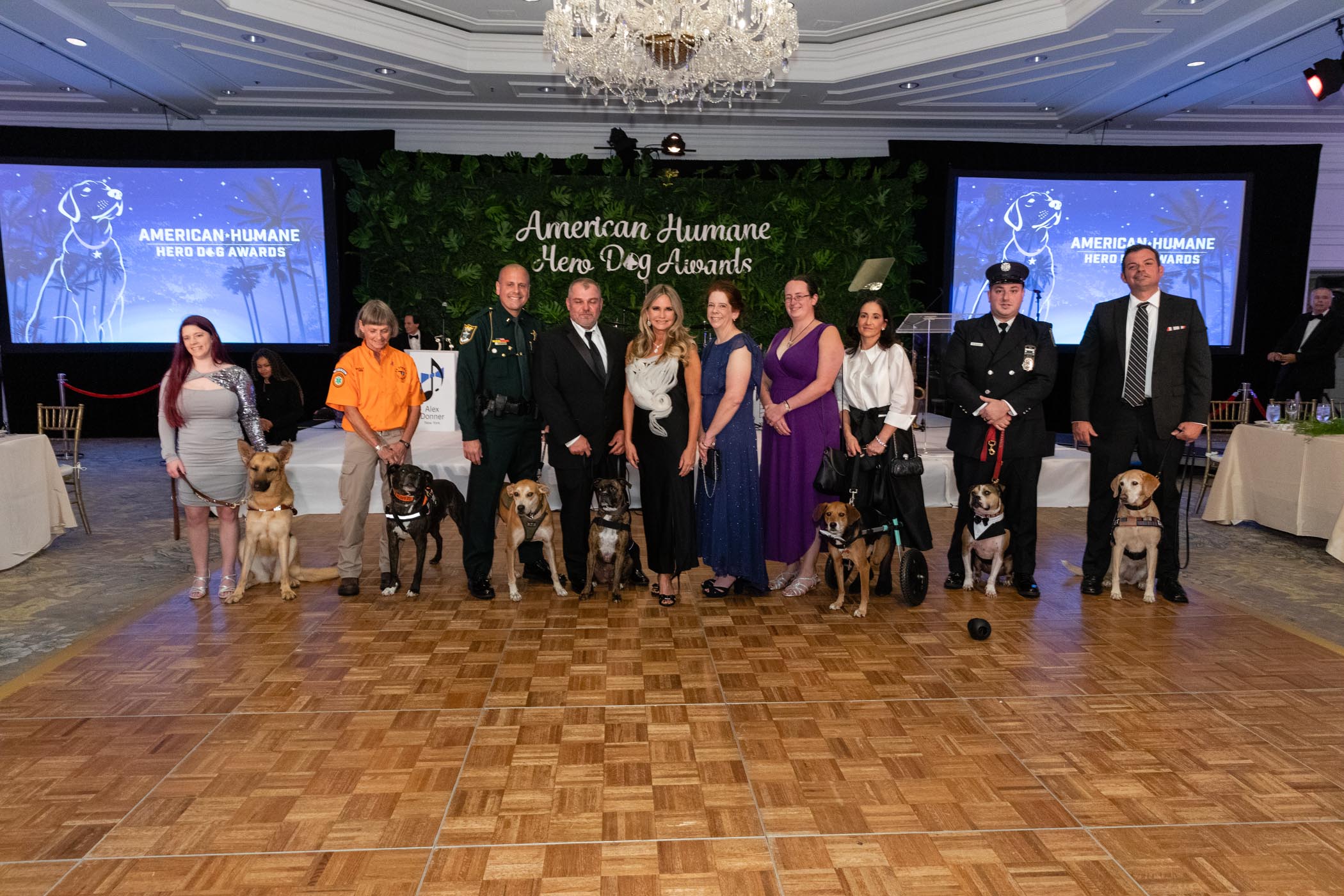 Hero Dog Awards (HeroDogAwards) / Twitter