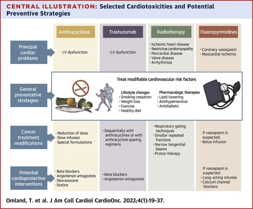 📌The Role of Cardioprotection in Cancer Therapy Cardiotoxicity
@JACCJournals #CardioOncology #StateOfTheArt
#CardioEd #CardioTwitter