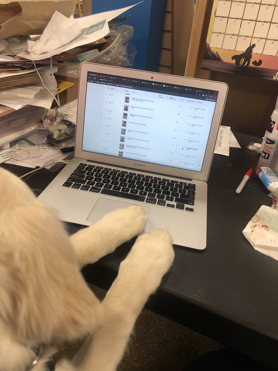 Training my new assistant.