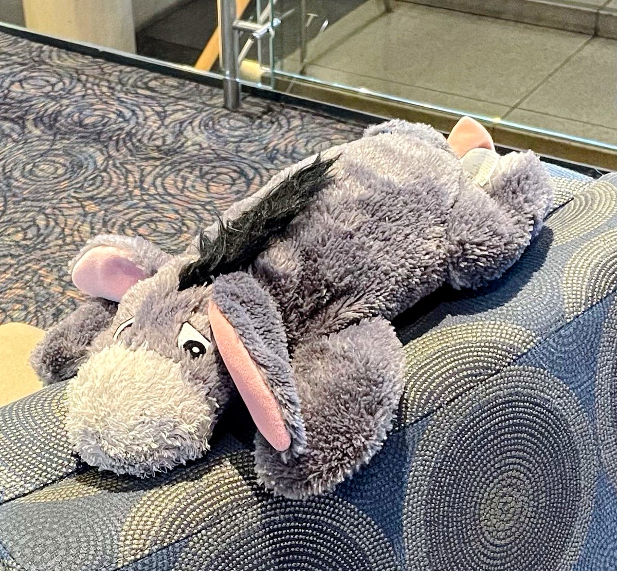 Do you recognize this little guy? 

While we love having him visit with us, we’d love it even more to reunite him with his owner. He was found today outside the terminal and it appears he missed his flight! Let's find the owner so we can get him home 💙
