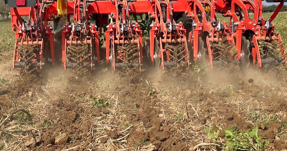 James Beamish tweet media