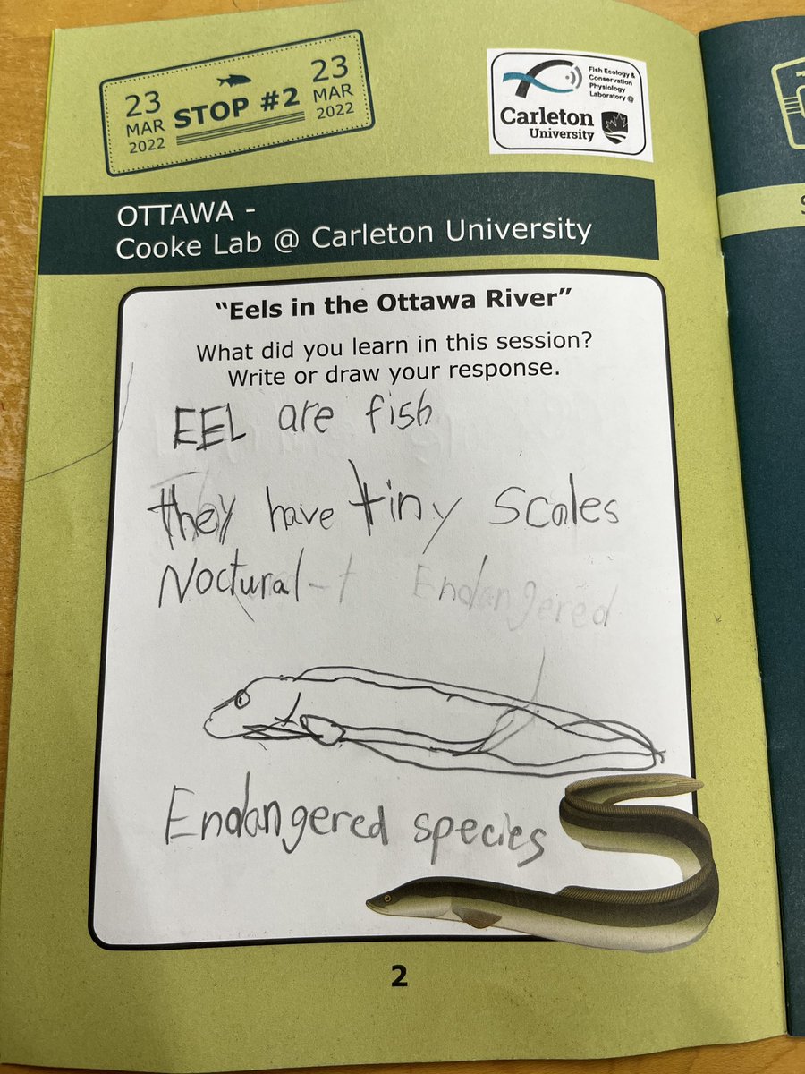 Grade 1 students from KG Public School, Chatham, enjoyed participating in the virtual Science Program from The Toronto Zoo/Great Lakes Program &amp; Turtle Island Conservation <a href="/greatlakesprgm/">Toronto Zoo's Great Lakes Program</a> <a href="/LKelempro/">LKDSB Elem Program</a> @93duker9 
#GreatLakesRoadtrip2022