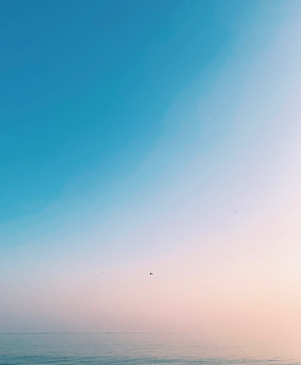 imi_read's tweet image. brighton’s really shaping up 🦅