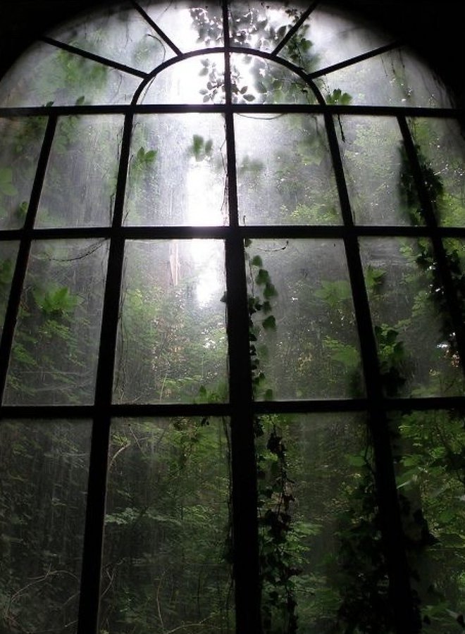 DothTheDoth's tweet image. Murder me in an abandoned greenhouse of a haunted estate or don’t waste my fucking time