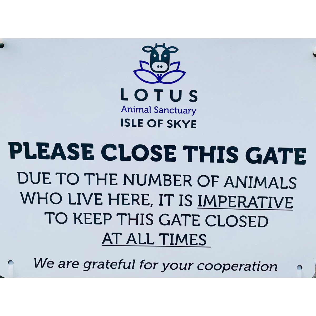heart_sanctuary's tweet photo. Thank you to every selfless soul who closes the gate behind them every time they go in and out at the sanctuary - your cooperation, care &amp; compassion helps to keep the animals safe and free from harm at Lotus 💜🐮🐶🐄🐈🐕🐏
#InGratitude #Care #Kindness #Compassion #Selfless https://t.co/HYtzWIYsmf