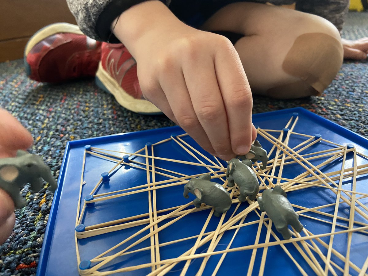 IHPSSpanish's tweet photo. We’ve had the best time integrating STEM into Spanish this week! We’ve been singing the song “Diez elefantes se balanceaban” and were challenged to make a web that held 10 elephants. ¿Cuántos elefantes se balanceaban? ❤️🐘🕸 A big GRACIAS to @monica_dawkins. #IHPromise #EpicIHPS https://t.co/HoNBWTG1F0