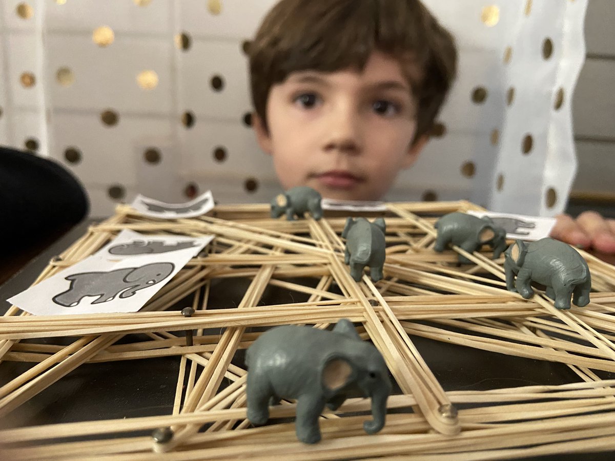 IHPSSpanish's tweet photo. We’ve had the best time integrating STEM into Spanish this week! We’ve been singing the song “Diez elefantes se balanceaban” and were challenged to make a web that held 10 elephants. ¿Cuántos elefantes se balanceaban? ❤️🐘🕸 A big GRACIAS to @monica_dawkins. #IHPromise #EpicIHPS https://t.co/HoNBWTG1F0