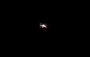 Joeynoble's tweet photo. Watched the #ISS pass over thanks to the prompt from @VirtualAstro , thought to myself ‘I wonder if it’s possible to photograph it?’ So I gave it a go!!🙈
#worktodo #hadago #photography #Icantellwhatitis #wellsortof 🤣 #funny #InternationalSpaceStation https://t.co/GeUKKDkNmr