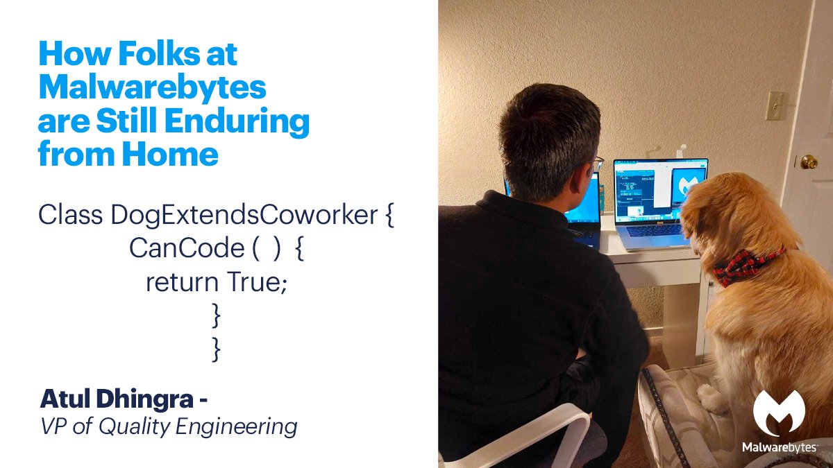 Malwarebytes's tweet photo. Hard to believe we've been #WFH for the past 2 years. ๐คฏ Here's how our Malwarenauts have made #remotework, work! #byteslyfe
How have you or your organization embraced the #hybrid or #remote environment? Show us in the comments below! ๐ https://t.co/a8gxTB2UIH