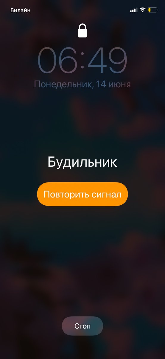 Mariafrrrrrr's tweet photo. Просто обожаю… https://t.co/OZsxt6Y2fl