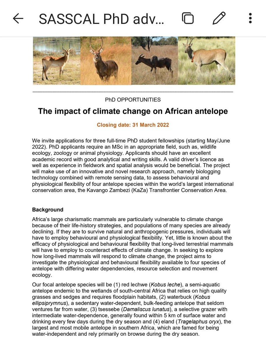 WMaartin's tweet image. Apply now for 1 of 3 funded #PhDposition available in &quot;Antelope&quot;, a multinational collaborative #biologging project combining ecology, physiology &amp;amp; remote sensing. Fieldwork in KAZA TFCA. #PhD #AcademicTwitter
Deadline 31 March. Please RT.
Details: tinyurl.com/5n8kxr4h