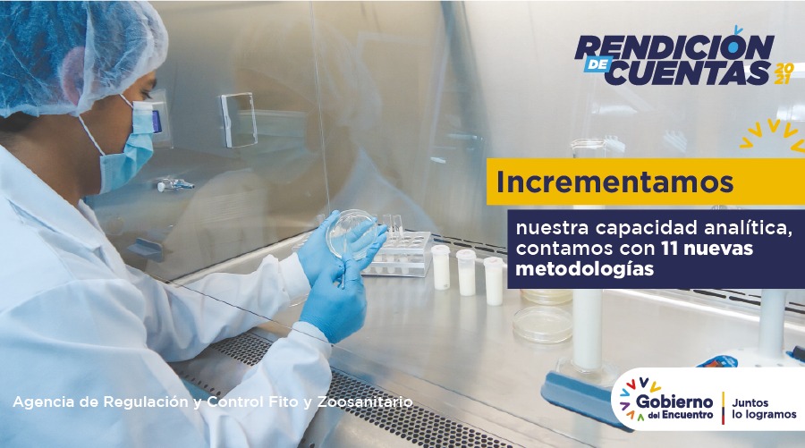 AgrocalidadZ7's tweet photo. #RendiciónDeCuentas2021 | 🔬Desarrollamos 11 nuevas metodologías con la finalidad de incrementar la oferta de diagnóstico para apertura de mercados, control y vigilancia fito y zoosanitaria. 📈#LaboratoriosDeCalidad
#JuntosCumplimos https://t.co/9skYRyIoJd