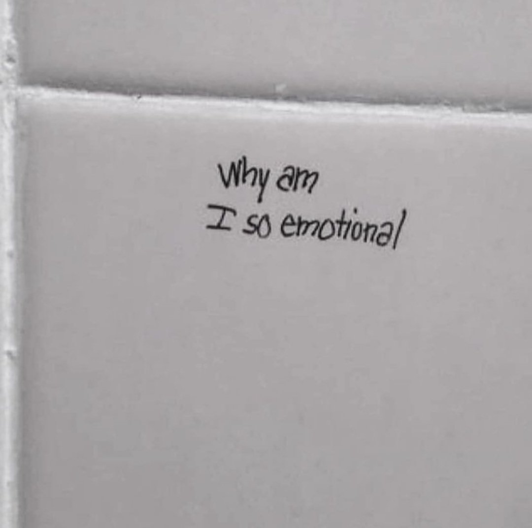 Rewan (@rewan20633297) on Twitter photo 