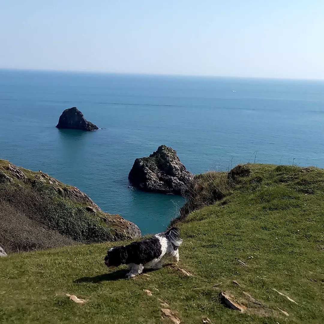 creamtea69's tweet photo. Today's dog walk #Views https://t.co/Qk6dxBryPy
