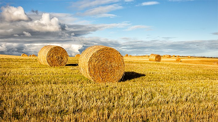 wto's tweet photo. Agriculture negotiators chart path towards MC12 #WTOAg #MC12 https://t.co/SsF9t0AtNl https://t.co/XPD98IAM6c