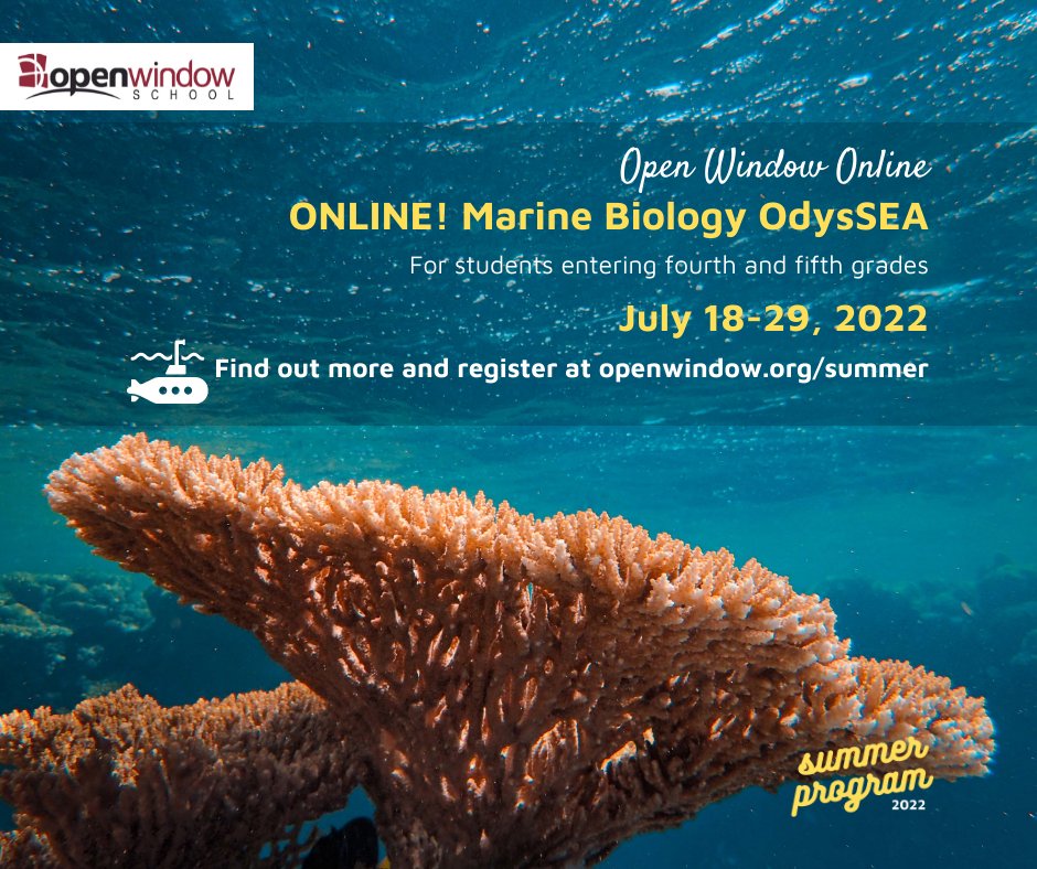 OWS Summer Program tweet media