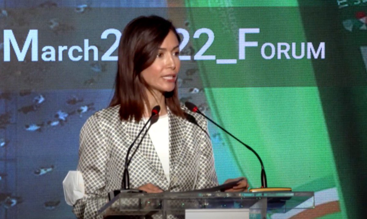 milacat's tweet photo. Italian Minister for the South and Territorial Cohesion @mara_carfagna confirms the government commitment to turn the South of #Italy into a logistic, #energy &amp; production #hub in the #Mediterranean More on @MediasetTgcom24 https://t.co/R3IJYib0Wv @IORAofficial @UfMSecretariat https://t.co/4rzgQPfQN2