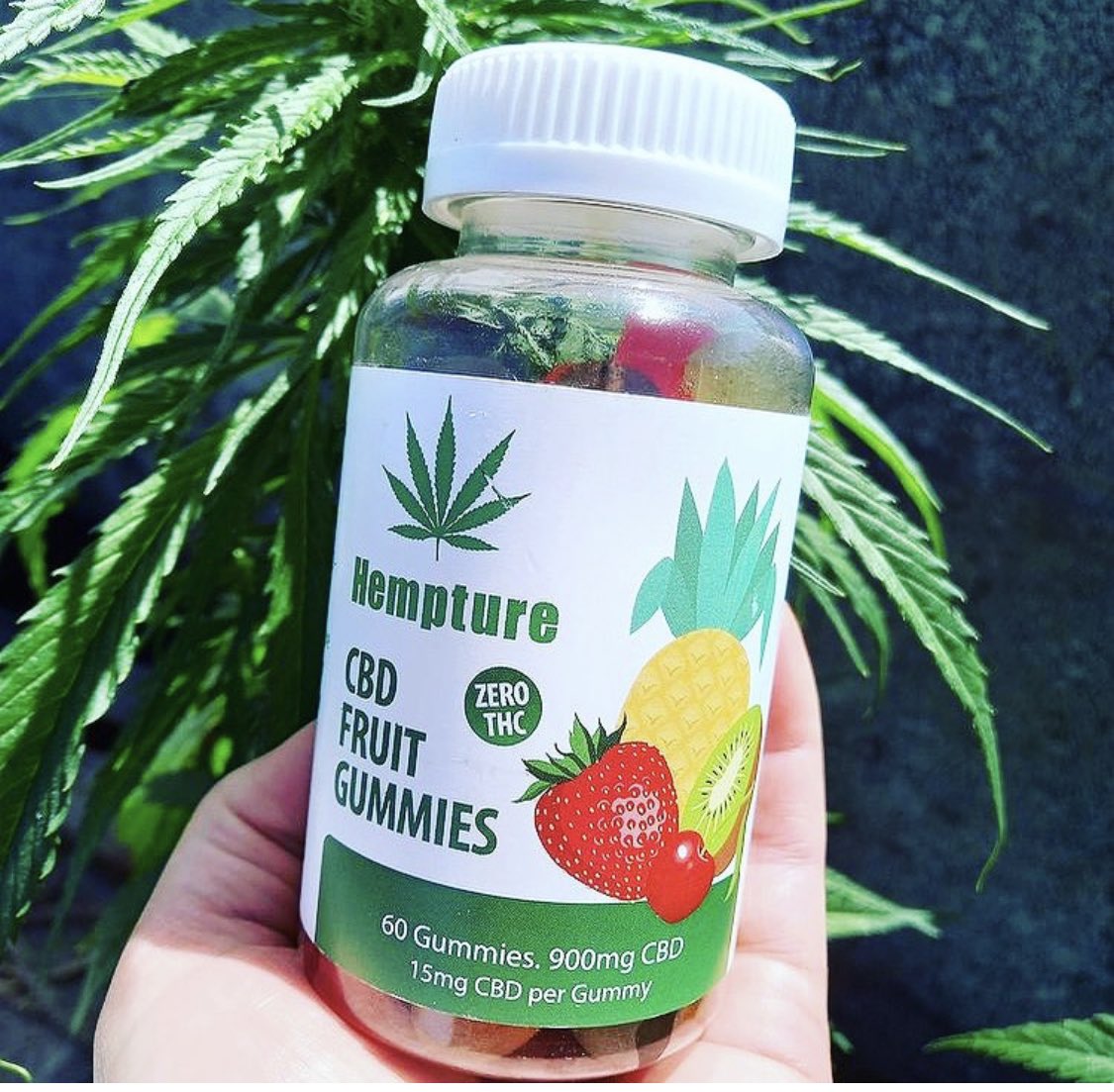 Hempture® tweet media