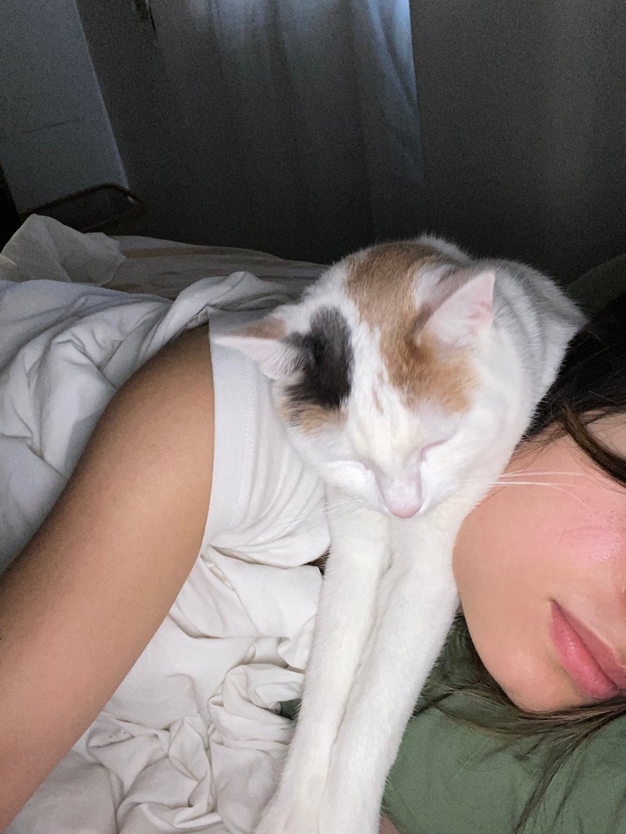 amyammmy's tweet photo. Me: *severe cat allergies*
Luffy: https://t.co/LBKhepsIig