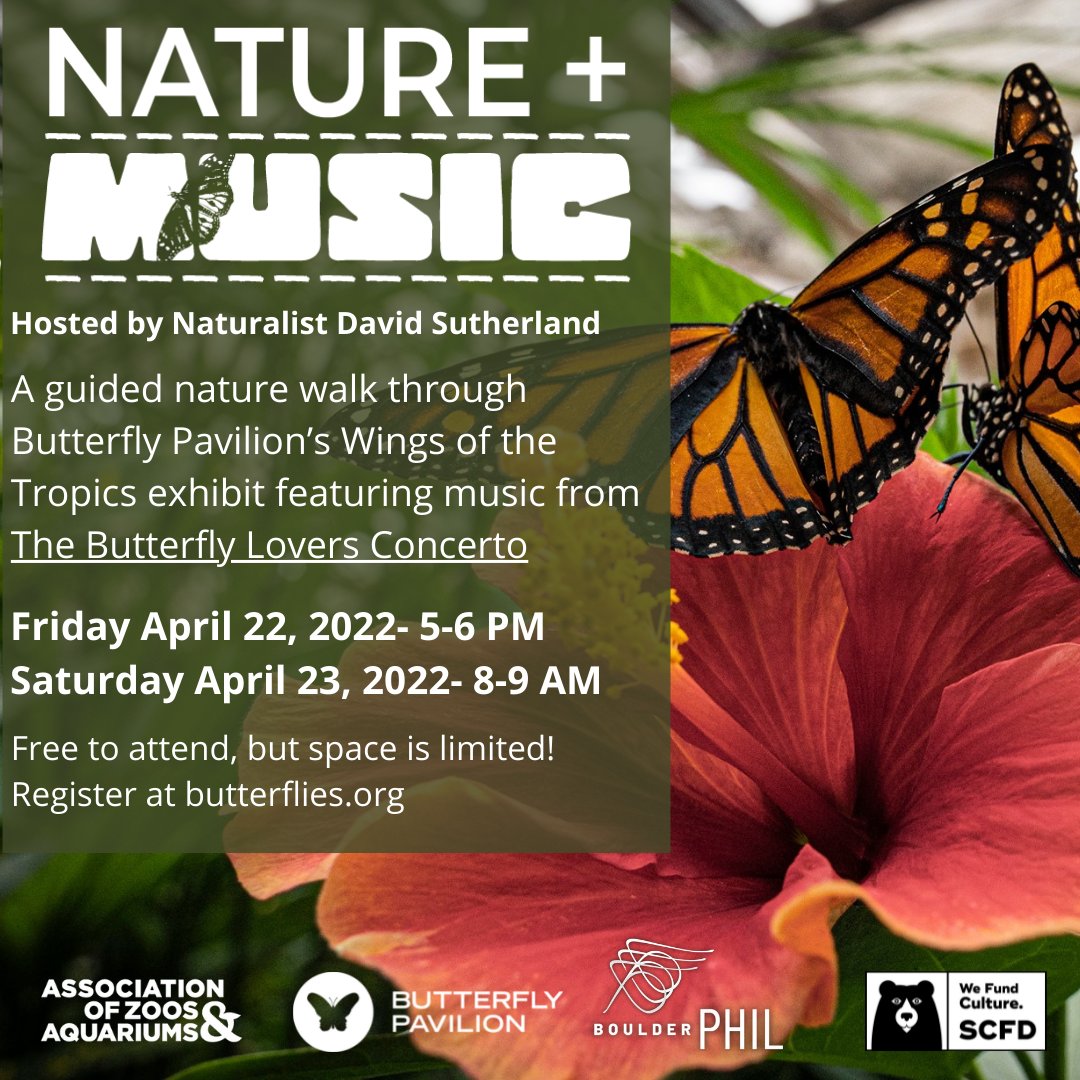 Join naturalist Dave Sutherland for a stroll in the Butterfly Pavilion’s tropical conservatory ahead of April 30th's Butterfly Lovers Concerto performance. Free to attend, limited space. For more information and to reserve tickets, visit: 
butterflies.org/event/nature-m…