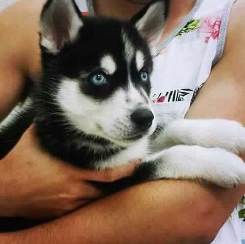 Dumb Weeb tweet media