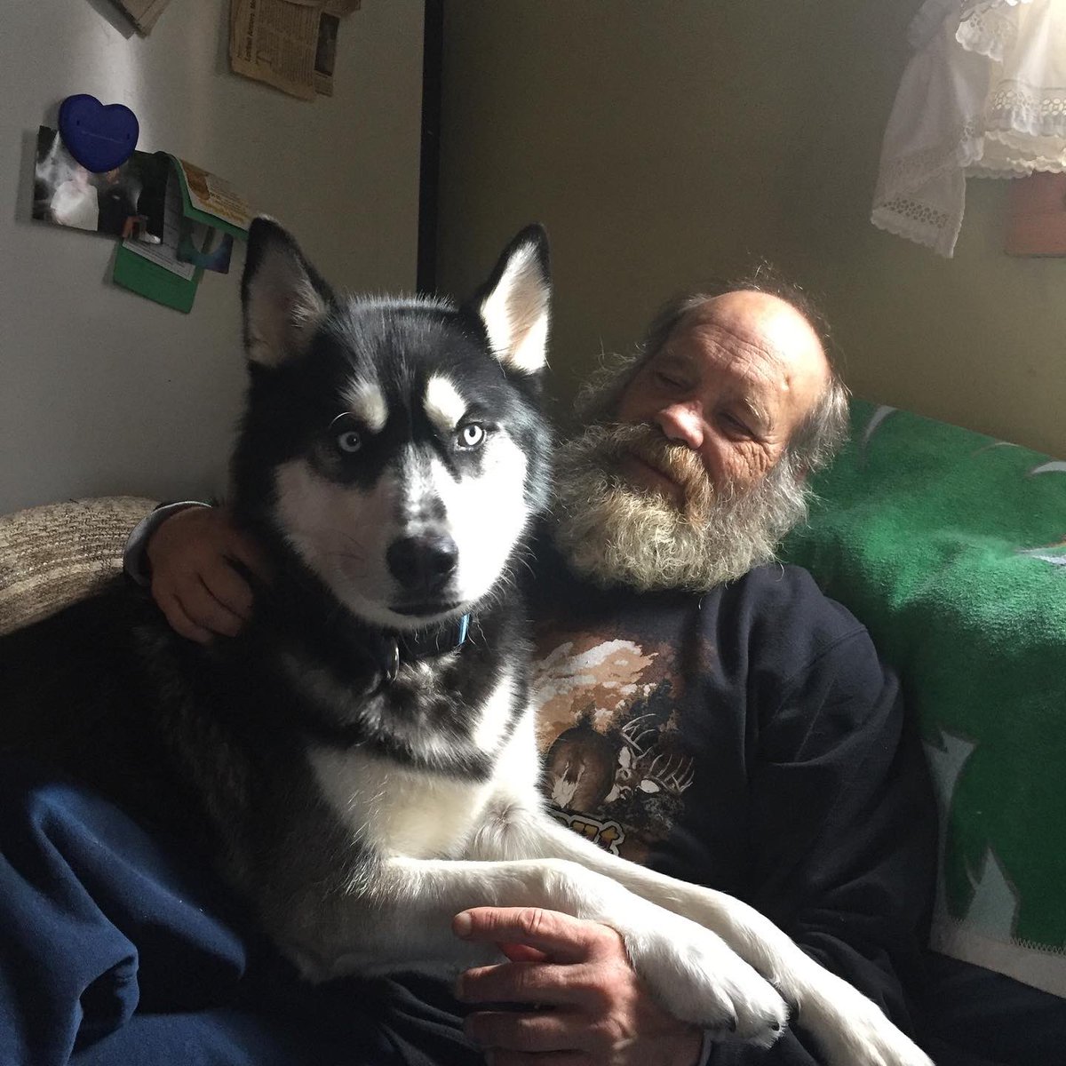 Dumb Weeb tweet media