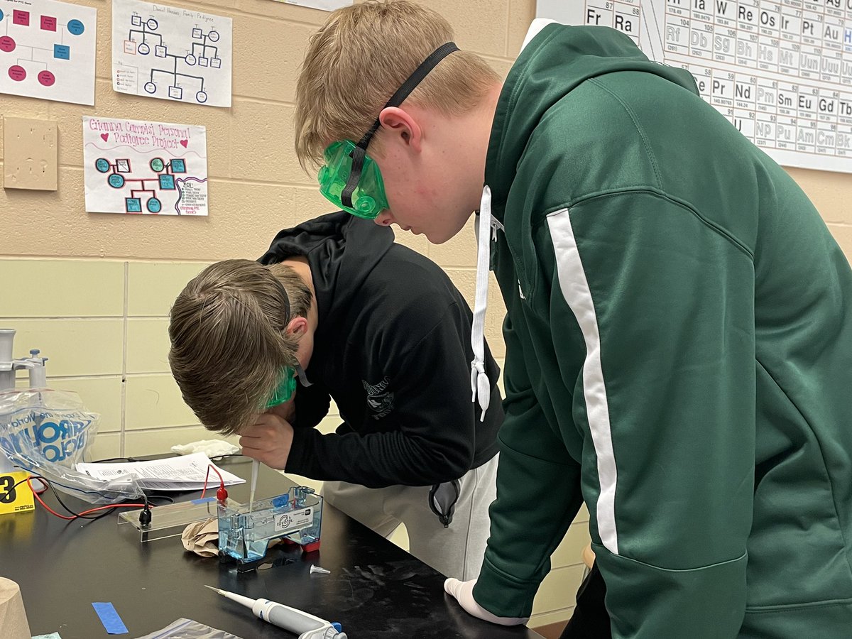 colemanbio414's tweet photo. Loading gels with AP Bio @edvotek #345. #biotechskills #nordoniarocks @JoeSuperintend1 @CaseyGWright @Andrew_Lastovka @kennedy_syllaba @emilydrinko_ https://t.co/xbEmJ2w8sr