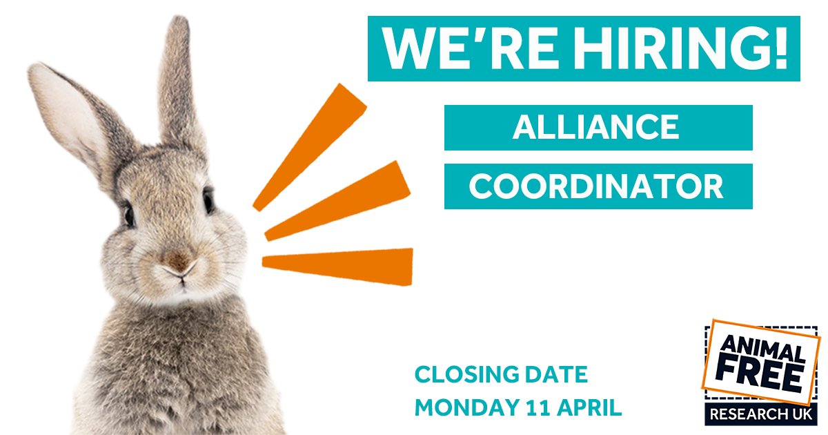 AFR_UK's tweet photo. Join our team!

Our Alliance Coordinator will be responsible for providing exceptional administrative support to this group, and will play a key role in growing the membership of the Alliance.

Apply here - https://t.co/Tu7H8iGm29 

#KinderScience #recruitment #charityjobs https://t.co/fq4dma4lgB