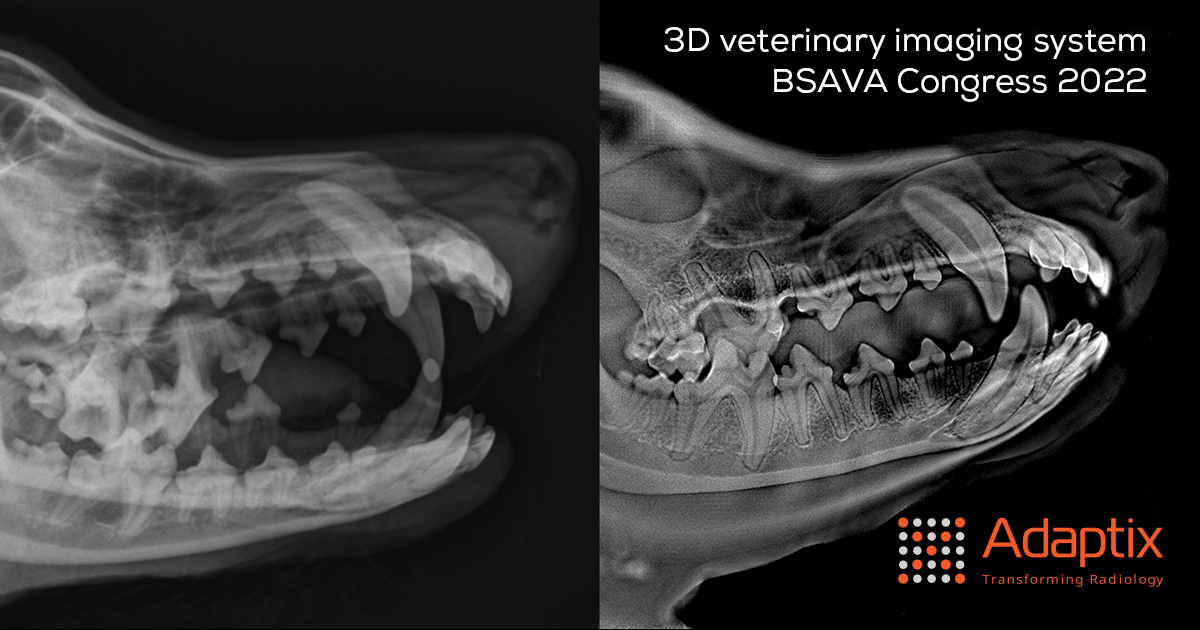 Visiting @BSAVACONGRESS in real life? Join us for drinks on Friday the 25 March at 4pm. adaptix.com/bsava-2022/ #BSAVA22 #radiology #transformingradiology #veterinarylife #veterinarypractice