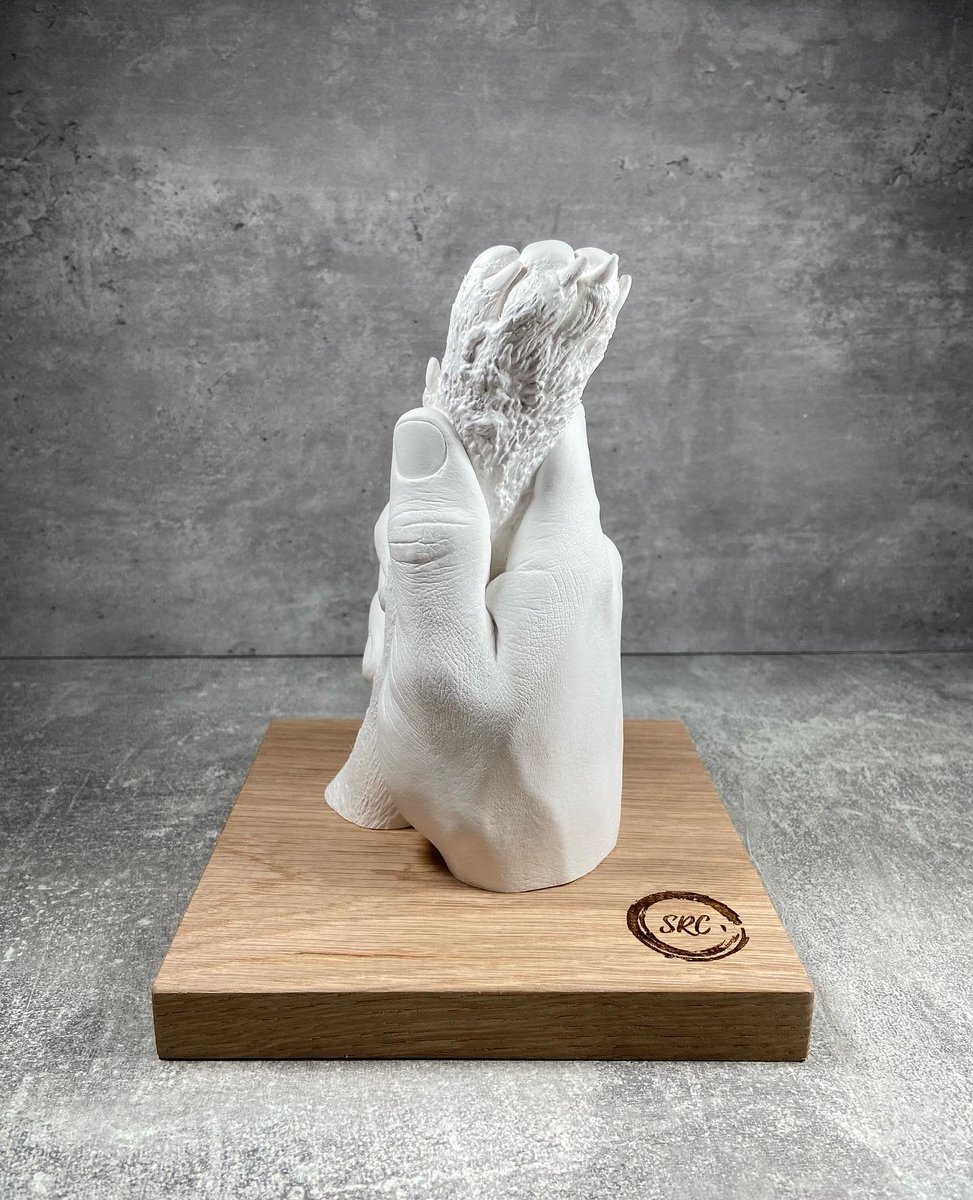 SRCastingstudio's tweet image. “When I needed a hand, I found your paw”

#handandpawcast #pawcasting #handcasting #pet #owner