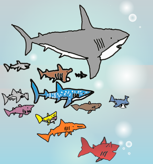 Megalodon &amp; His Friends#005_Parade Under the Sea
opensea.io/assets/0x495f9…
#NFTKidsWorld  #NFTKidsWeAreTheFuture