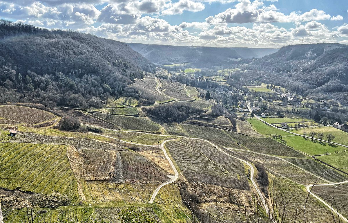 Philippe de cantenac (@phdecantenac) on Twitter photo Le superbe vignoble de Château Chalon accueillera la 4 e étape du championnat de France de dégustation <a href="/LaRVF_mag/">La Revue du vin de France</a> le 9 avril Le superbe vignoble de Château Chalon accueillera la 4 e étape du championnat de France de dégustation <a href="/LaRVF_mag/">La Revue du vin de France</a> le 9 avril