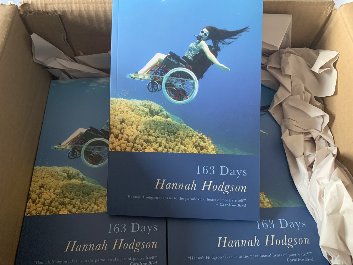 Hannah Hodgson ♿️🌈 tweet media