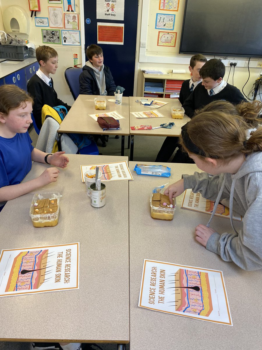 valleygardensnt's tweet photo. KS3 STEM club learning about skin and the different layers with @Inspired_NE  .   #vgmsstem #vgmsscience https://t.co/8HIDoQwA65