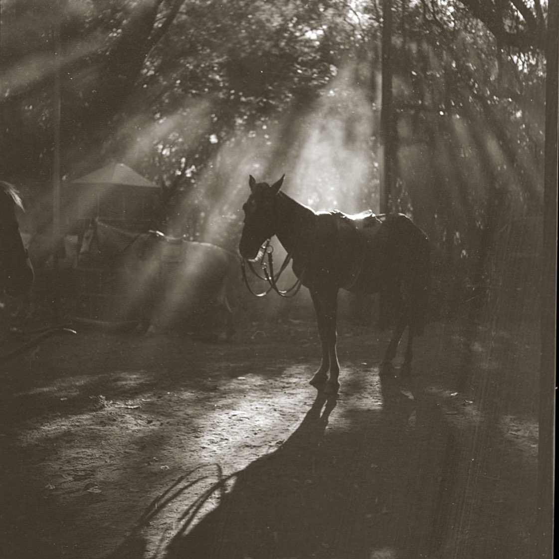 Master Archives tweet media