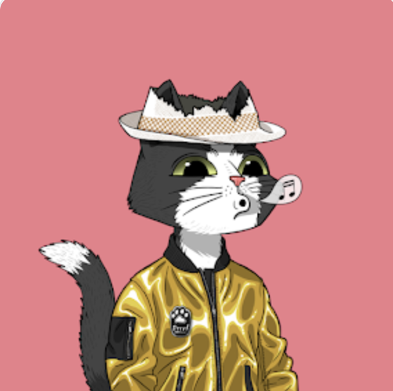 MGorioux's tweet photo. After a beginner first sad scam experience, I am glad to join the #NFTCommunity with @MarsCatsVoyage
 thanks to the generosity of @omarsebouai 🙏 This powers the start of a new journey 🚀 https://t.co/P6htsNpZ4K