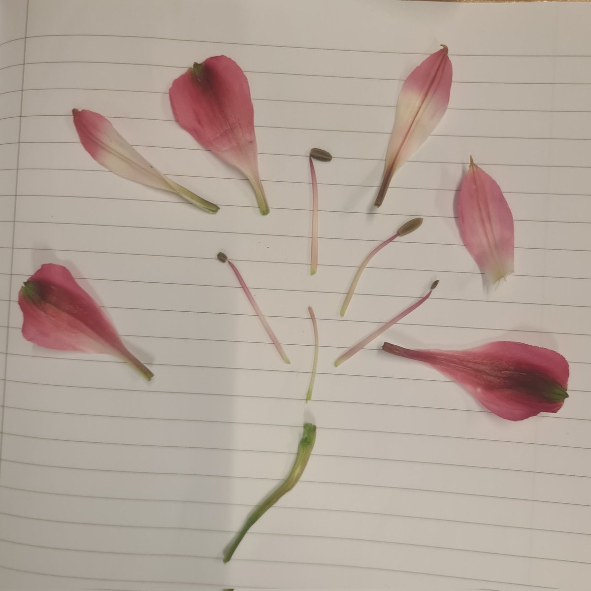 Shade: Maths (&more) tweet media