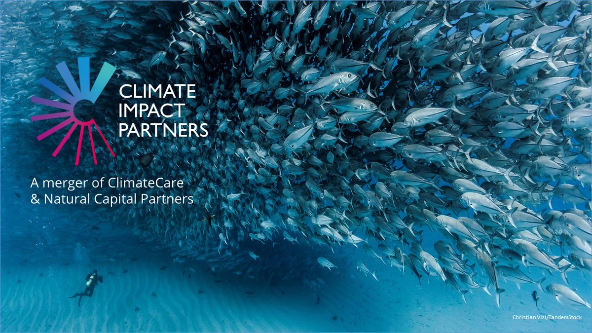 @NatCap_Partners and <a href="/ClimateCare/">Climatecare Solutions</a> merged last year and are now Climate Impact Partners companies. Together we increase our ambition, innovation, and impact. 

Learn more: climateimpact.com

#climatechange #leadership