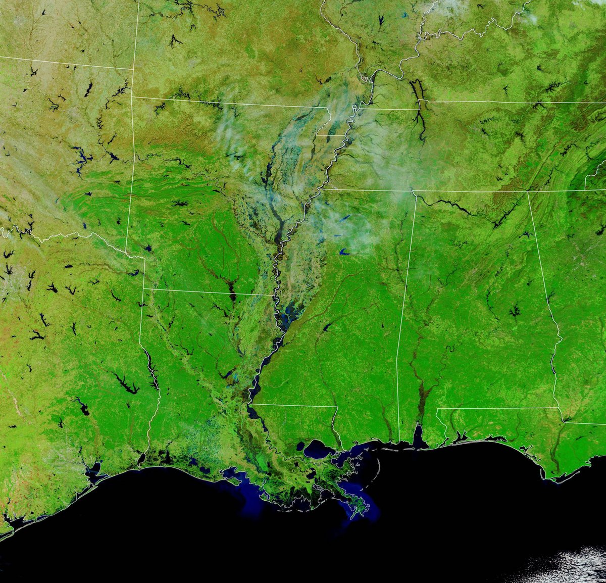airandspace's tweet image. In our first #ExploringSpace lecture March 29, explore how we use space technology to learn more about our home on Earth. @NASAGoddard's Christa Peters-Lidard will discuss recent @NASAEarth pilot studies.

Tune in online or attend in person: s.si.edu/3L6BHLR