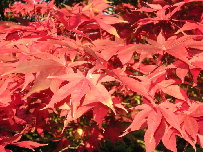 Grasslands Nursery tweet media